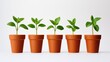 © NFTNexus - Ceramic flower pots with fresh green seedlings arranged on a clean white background representing growth and gardening concepts