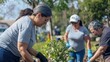 © Dara - Hispanic Baby Boomers volunteering in their community, contributing their time to help others.