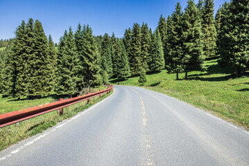 Wall Mural - Empty asphalt road and forest with mountains landscape in Xinjiang