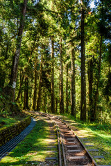 Wall Mural - The old forest railway section of the Shuishan Trail at Alishan Forest Recreation Area in Chiayi, Taiwan. Now obsolete and unable to operate.
