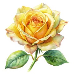 Sticker - Watercolor Illustration of a Vibrant Yellow Rose on a White Background. Generative AI