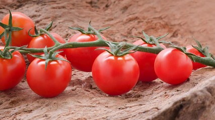 Wall Mural - red tomatoes