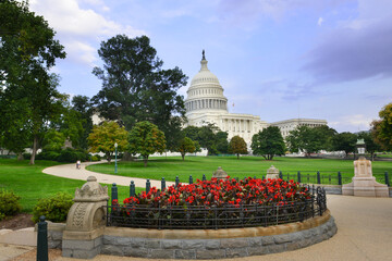 Wall Mural - US Capitol Building - Washington D.C. United States