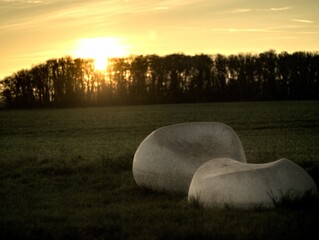 Wall Mural - landscape at sunset