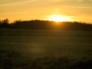 Wall Mural - landscape at sunset