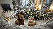 © Evgen - Pets Pretending Innocence After Creating Christmas Mayhem in Trendy Apartment