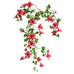 Aufkleber - Climbing vine with red flowers and green leaves isolated on transparent background, perfect for floral compositions