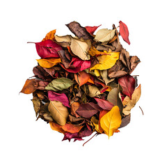 Leinwandbilder - Circular arrangement of vibrant autumn leaves on a transparent background, ideal for fall-themed designs