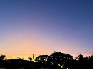 Beautiful shot of pink clouds in a blue sky with scenery of sunrise. Abstract background of cloud and sky in sunset. Colorful texture of cloudscape at twilight. Silhouette of tree and sky background.