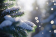 © Vitalii - Winter background with fir trees and snowflakes in a beautiful light