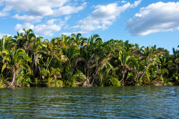 Wall Mural - Landscape of Chapada das Mesas National Park from Tocantins River - Carolina, State of Maranhão