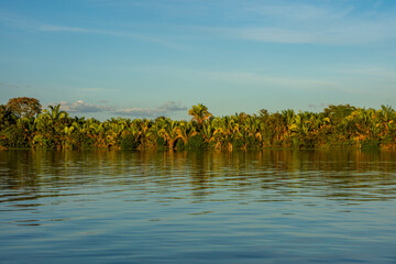 Wall Mural - Landscape of Chapada das Mesas National Park from Tocantins River - Carolina, State of Maranhão