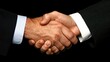 © NAD SANG PAP - Successful negotiation business partners shake hands in corporate setting