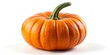 © BondGraphics - Vibrant Orange Pumpkin on Clean White Background - Simple, Fresh Autumnal Still Life with Smooth Glossy Texture - Ideal for Seasonal, Harvest, Farm Themes or Product Displays