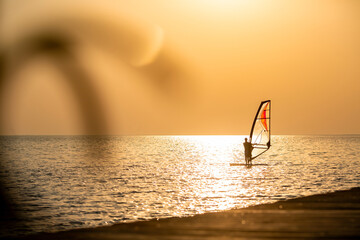 A windsurfer riding on the golden sea at sunset, framed by a blurred foreground leafl