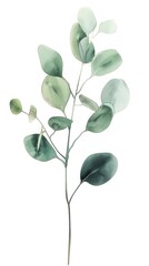 Poster - Delicate green foliage branch illustration with soft, translucent leaves, capturing the essence of nature and tranquility in a minimalist style.