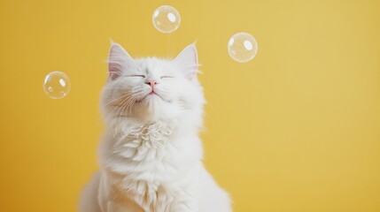 Aufkleber - A fluffy white cat blissfully gazes upward as playful bubbles float around against a vibrant yellow backdrop adorned with fish. Generative AI