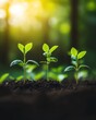 © Nattapat - A lush field of young seedlings sprouting in fertile soil, symbolizing the potential for new growth and the power of natures beginnings