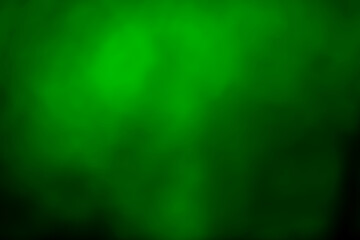 Wall Mural - beautiful abstract nature green light on blurred gradient mesh background. copy space.