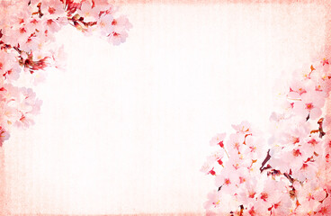 Aufkleber - Spring background with beautiful blooming sakura and striped cardboard texture. Horizontal banner with paper texture of pink color and branch of sakura with flowers. Sakura blossoming season in Japan