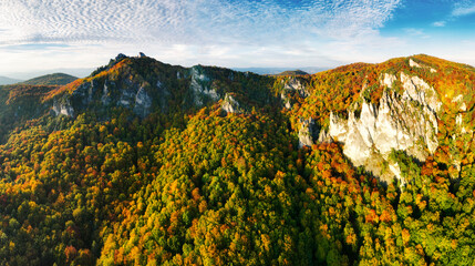 Poster - Colorful forest at sunset in autumn. Top view of mountain in woods. Beautiful landscape with  red and orange leaves in fall. Slovakia - Sulov