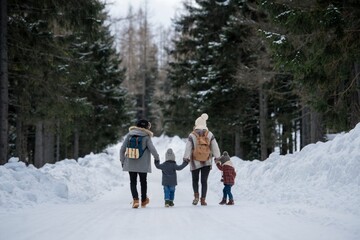 Wall Mural - Rear view of family is enjoying winter holiday in the mountains, holding hands while walking through the snowy forest.