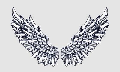 Wall Mural - vector angel wings line art style. Classic wings tribal tattoo With a white background.