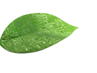 green leaf with digital circuit pattern, isolated on a white background. png transparent.