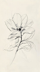 Wall Mural - an x-ray of an elegant flower, , white background, minimalism, ethereal details, monochrom