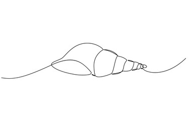Continuous one line drawing of sea shell, Set of sea shells. Sea shells, mollusks, scallop, pearls. Tropical underwater shells continuous one line art, Pearl in a seashell one line art drawing.