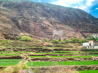 Wall Mural - Views of Tibetan houses, green field and mountains along the road from Shangri La to Yading, Sichuan 