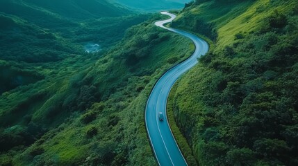 Wall Mural - Winding road through lush green mountains.