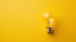 © Morning - A single light bulb on a yellow background.