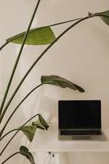 Wall Mural - serene office environment with laptop and green leaves. natural ambiance