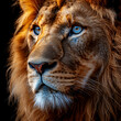 © suwandee - Portrait of a beautiful lion on a black background. Animal.
