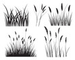 © tarek - Set of grass silhouette vector illustration on white background