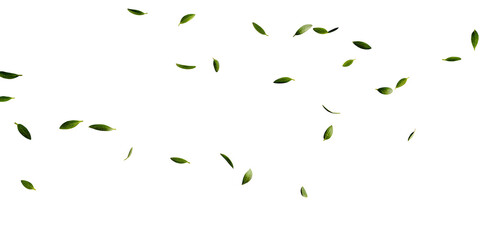 Fototapete - Green leaves fly with a gust of wind on white  background.AI GENERATED