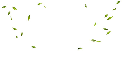 Fototapete - Green leaves fly with a gust of wind on white  background.AI GENERATED