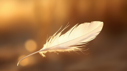 Sticker - delicate floating white feather