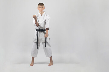 Wall Mural - Fifteen year old male teenage karate black belt doing a double block, studio shot against a white background