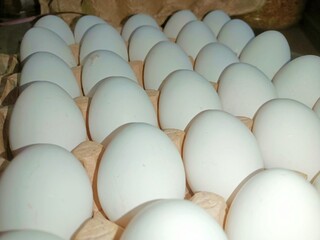 eggs in a carton raw chicken eggs in paper egg tray on white background. Group of Fresh white Eggs in a cardboard cassette. Organic food from nature good for health