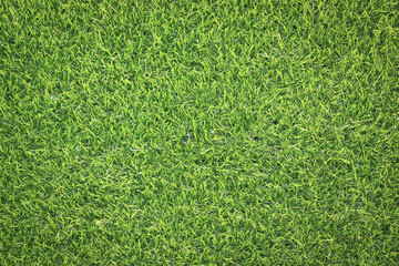 Canvas Print - artificial grass background