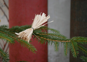 Christmas tree, decorated with straw and bows - traditional ornamentation style in Czech Republic