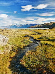 Wall Mural - Stream in a meadow in the wild nature of Patagonia, Argentina