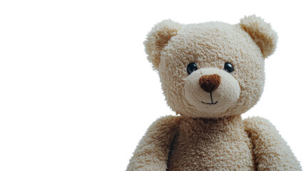 Plush bear transparent background