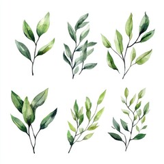 Hand-Painted Collection of Green Sprigs and Leaves on Bright Canvas, Ideal for Textile and Wrapping Paper Designs