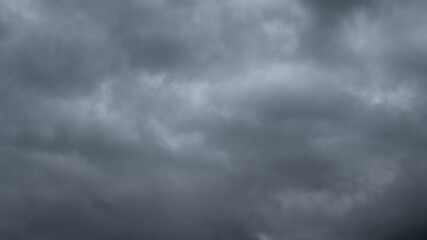 Wall Mural - time lapse of gray rain clouds churring about a silhouette skyline of evergreen trees