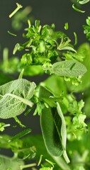 Poster - Super Slow Motion of Flying Fresh Herb Leaves. Filmed on High Speed Cinema Camera, 1000 fps. Vertical Aspect Ratio.