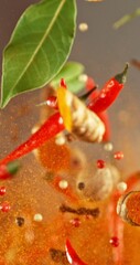 Poster - Super Slow Motion of Flying and Rotating Spices Mix. Filmed on High Speed Cinema Camera, 1000 fps. Vertical Aspect Ratio.