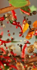 Poster - Super Slow Motion of Flying and Rotating Spices Mix. Filmed on High Speed Cinema Camera, 1000 fps. Vertical Aspect Ratio.